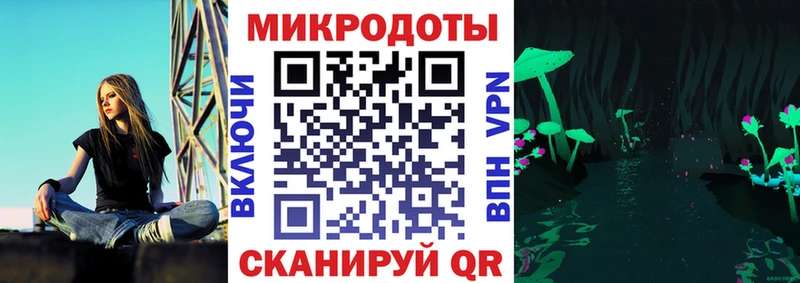 Галлюциногенные грибы Psilocybine cubensis Лесной