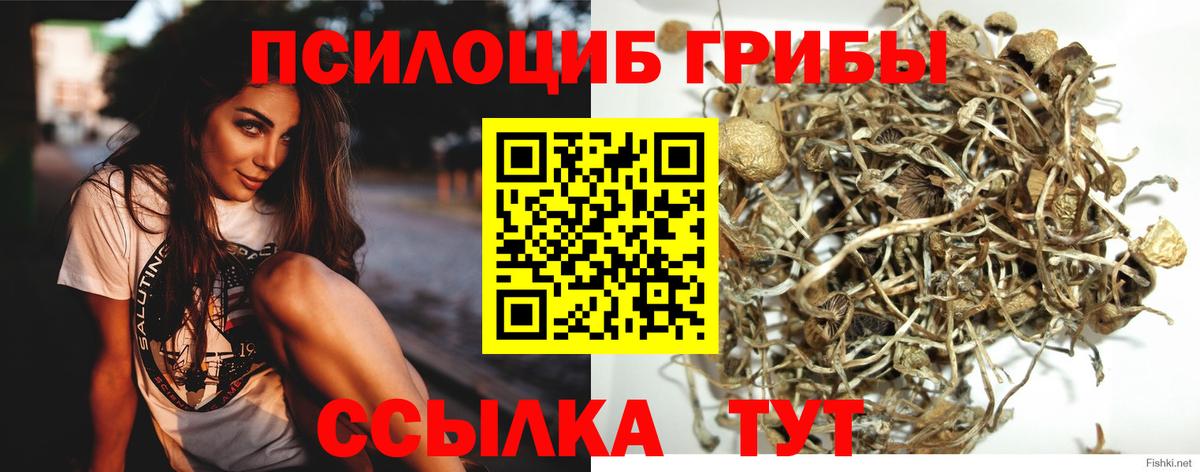 Лесной  Псилоцибиновые грибы Magic Shrooms  Вход с VPN 