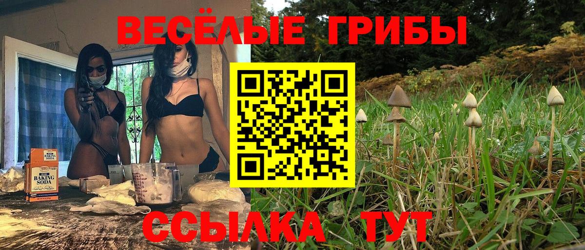 Псилоцибиновые грибы Psilocybine cubensis Лесной